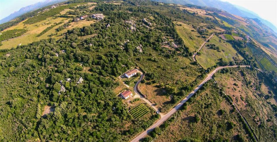 Campagna e natura intorno ad Aglientu